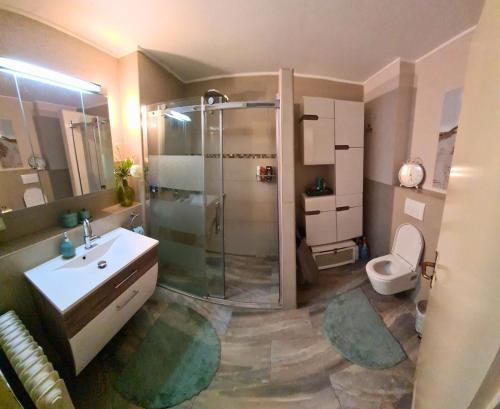 W łazience znajduje się prysznic, umywalka i toaleta. w obiekcie Rastatt Retreat: Zentral und Gemütlich w mieście Rastatt