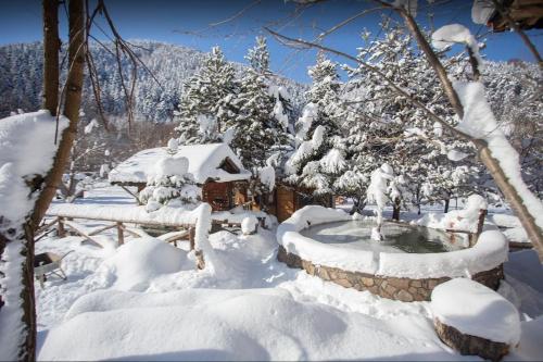 un jardín cubierto de nieve con bañera de hidromasaje y árboles en Abant Yeşil Vadi Koç Pansiyon, en Dereceören