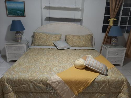 a bedroom with a large bed with two night stands at Patmay Greenery. Fresh air, vacation get away. in Saint-James