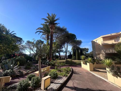 a garden with a palm tree and a building at Appartement front de mer in Saint-Raphaël