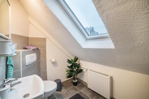 een badkamer met een dakraam, een toilet en een wastafel bij Ferienwohnung 2 in Bad Lauterberg