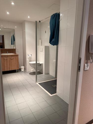 une salle de bain avec une douche, des toilettes et un lavabo dans l'établissement KOSY Appart'Hôtel 7ème Art, à Saint-Avold