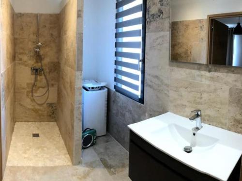 une salle de bain avec un lavabo et une douche avec un miroir dans l'établissement gite entre mer et montagne, à Savignargues