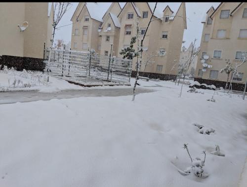 dos perros tirados en la nieve frente a los edificios en Appartement Au jardin en Ifrane