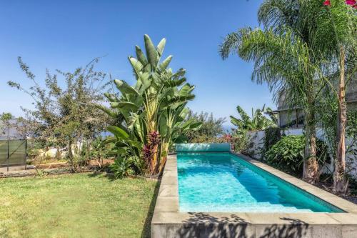 einen Pool in einem Garten mit Palmen in der Unterkunft El Bebedero by Huskalia - private pool in Los Sauces