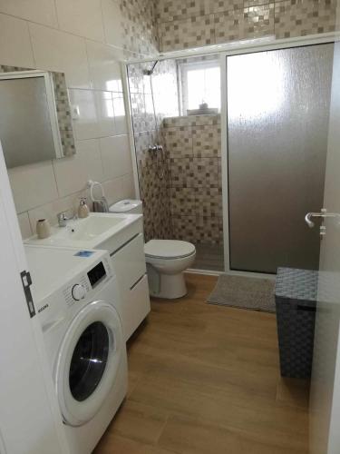 a bathroom with a washing machine next to a toilet at Grannys House in Angra do Heroísmo