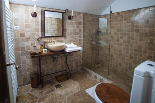a bathroom with a shower with a sink and a shower at Domeniul Drăgași 