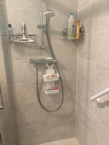 een badkamer met een douche met een douchekop en een douche bij chez françoise in La Roche-des-Arnauds