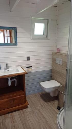 a bathroom with a toilet and a sink at Uroczy domek na Mazurach in Nowe Kiejkuty