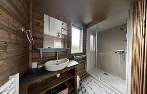une salle de bain avec un lavabo et une douche dans l'établissement Mobilhome tout confort, à La Teste-de-Buch