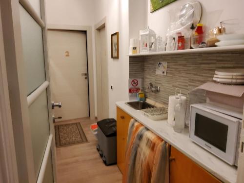 a kitchen with a sink and a microwave on a counter at Annadia Sweet Home B&B in Lido di Ostia
