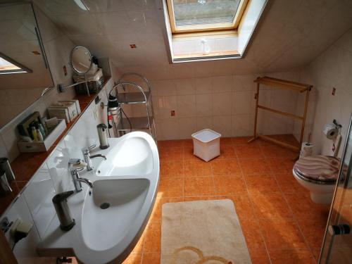 a bathroom with a sink and a toilet at Gästehaus Nord-West 1700 - Doppelzimmer Ozean in Steenfeld