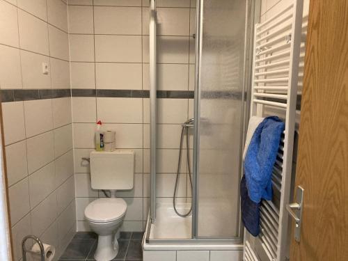 ein kleines Bad mit einem WC und einer Dusche in der Unterkunft Schulungszentrum Töplitz in Leest