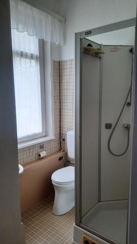 ein Bad mit einem WC, einem Waschbecken und einer Dusche in der Unterkunft Gemütliche Ferienwohnung mit Waldblick in Walsrode