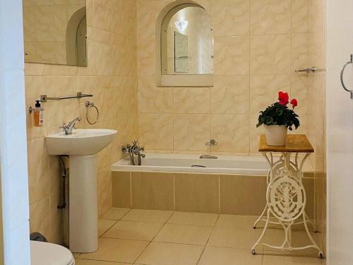 Karoo Country Guesthouse في De Aar: حمام مع حوض وحوض استحمام مع حوض
