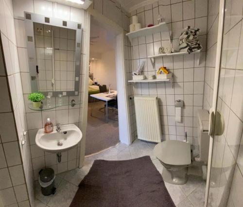 La salle de bains est pourvue de toilettes et d'un lavabo. dans l'établissement Apartment am Rheinsteig - a84084, à Geisenheim