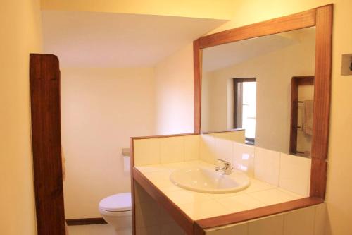 a bathroom with a sink and a mirror and a toilet at One bedroom house with wifi at Antananarivo in Antananarivo