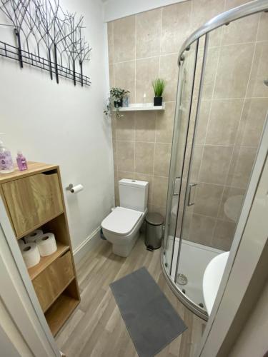 a bathroom with a toilet and a shower at Kingfisher En-suite Room in Plymouth