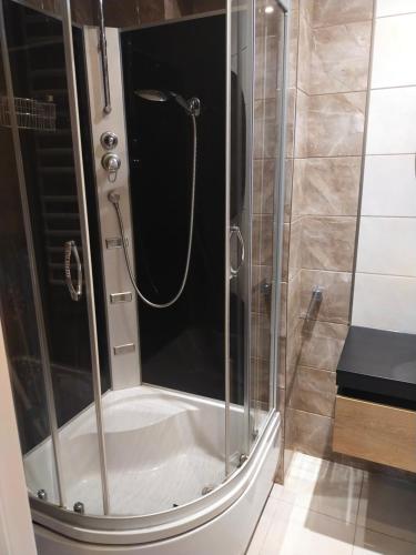 a shower with a glass door in a bathroom at Apartament w Głogowie in Głogów