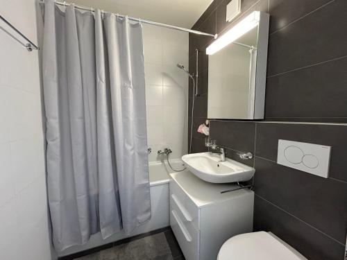 e bagno con servizi igienici, lavandino e doccia. di Cityscape Prilly près de Lausanne a Prilly