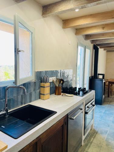une cuisine avec un évier et un plan de travail dans l'établissement Maison Murato, à San-Giuliano