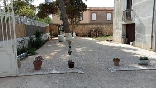 a courtyard with potted plants on the ground at Le Mas Palegry Chambres d'hôtes Perpignan in Perpignan