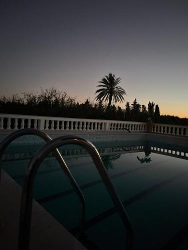 a swimming pool with a bridge and a palm tree at Dar louzir à Tazarka in Tazarka