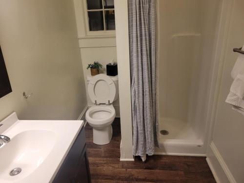 a bathroom with a toilet and a sink and a shower at Natural Bridge Hotel, Trademark Collection by Wyndham in Natural Bridge