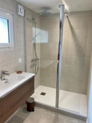 une salle de bain avec douche et lavabo dans l'établissement Logement indépendant avec extérieur, à Cadaujac