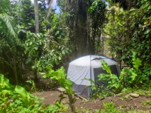 a white tent in the middle of a forest at Propriete d'une chambre avec wifi a Petit Bourg a 4 km de la plage in Petit-Bourg