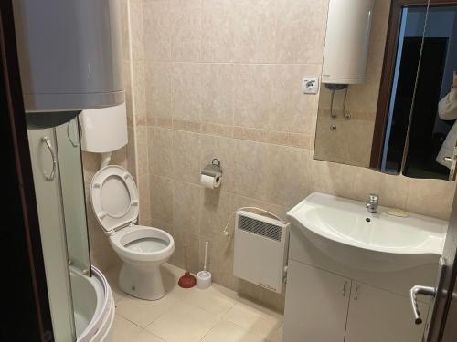 Ένα μπάνιο στο Vila Zabac - Ski Center Tornik