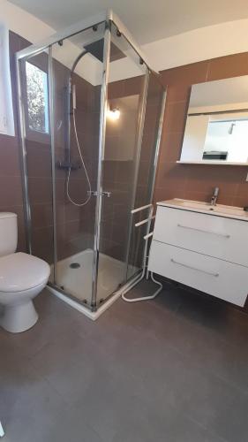 une salle de bain avec une douche avec des toilettes et un lavabo dans l'établissement Studio climatisé indépendant de 24m², à Calvi