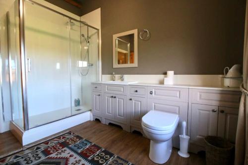 a bathroom with a shower and a toilet and a sink at Characterful Yorkshire cottage, beautiful views in York