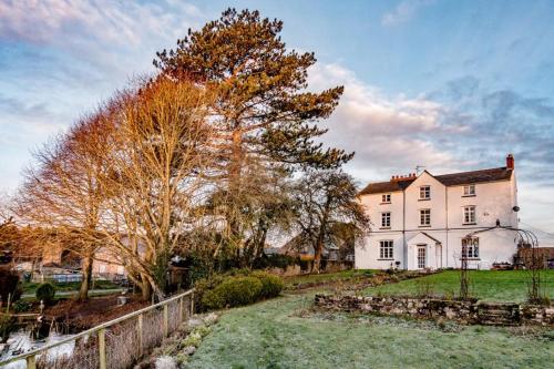 una gran casa blanca con una valla delante en Art House B & B, en Raglan