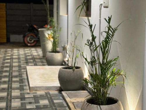 a group of potted plants sitting on a floor at La Tamara Suite - TIE Hotels & Resorts in Puducherry