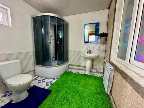 a bathroom with a toilet and a green rug at Kayyr Guest House in Orgochor