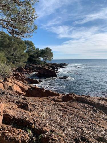 Boulouris - Appt 3/4 pers. bord de mer / piscine