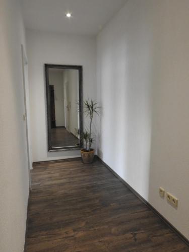 a hallway with a mirror and a potted plant at Ferienwohnungen am Hauptplatz in Pirna