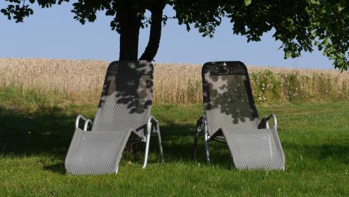 two chairs sitting in the grass under a tree at Gaestehaus Hofer in Bad Birnbach