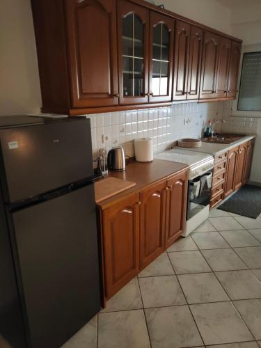 a kitchen with wooden cabinets and a black refrigerator at Makis 1 in Igoumenitsa