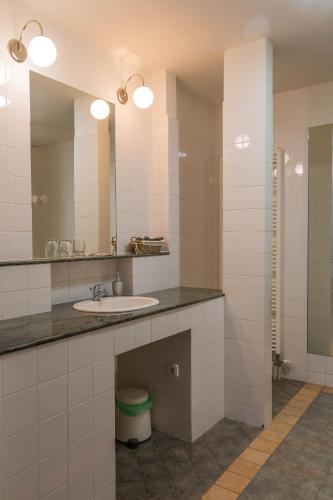 a bathroom with a sink and a mirror at Penzion St. Martin in Spišské Podhradie
