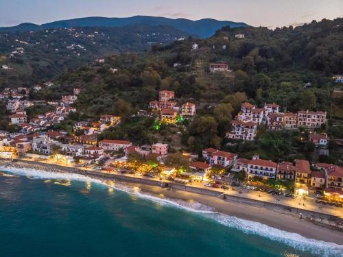 an aerial view of a town on the beach at Irida Maria in Agios Ioannis Pelio