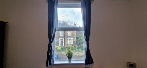 a window with a potted plant in a room at Springvale house in Walkley