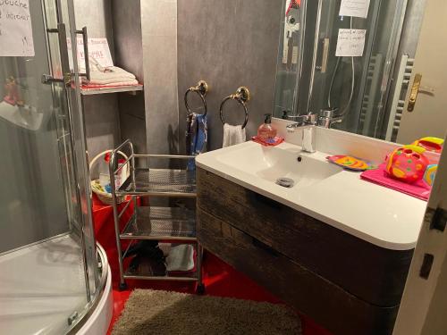 a bathroom with a sink and a shower at L'Etoile du Sud in Tours