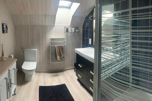 a bathroom with a toilet and a glass shower at Villa au coeur de la vallée in Thyez