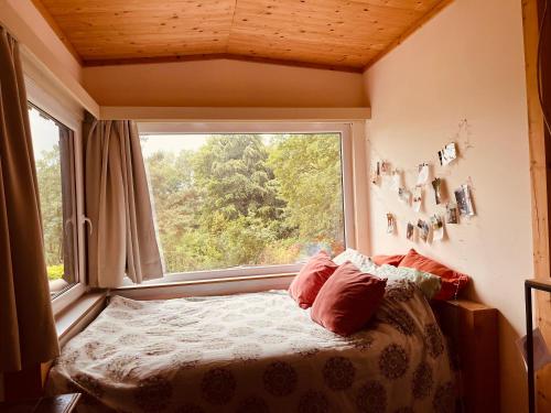 Bett in einem Zimmer mit einem großen Fenster in der Unterkunft Woods House in La Calamine