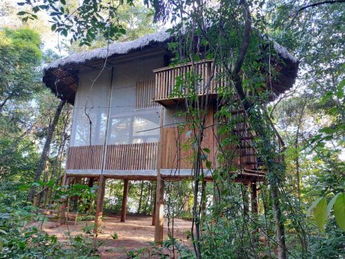 une cabane dans les arbres au milieu de la forêt dans l'établissement EcoAraguaia Jungle Lodge, 