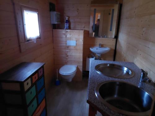 La salle de bains est pourvue d'un lavabo et de toilettes. dans l'établissement 28m Ferienhaus am Rande des Spreewalds, à Bornsdorf