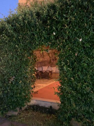 a hedge arch with a bench in the middle at Lulamax Sardegna in Budoni
