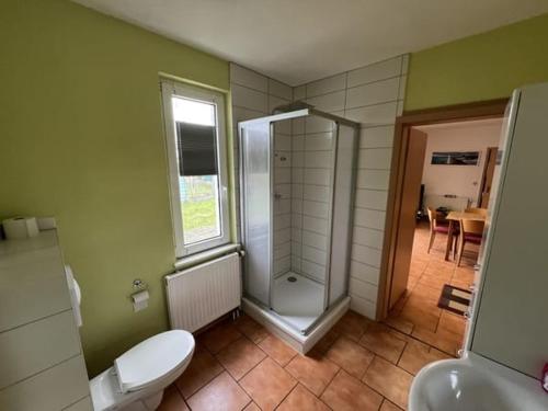 a bathroom with a shower and a toilet and a table at Zur Alten Bank in Altenkirchen